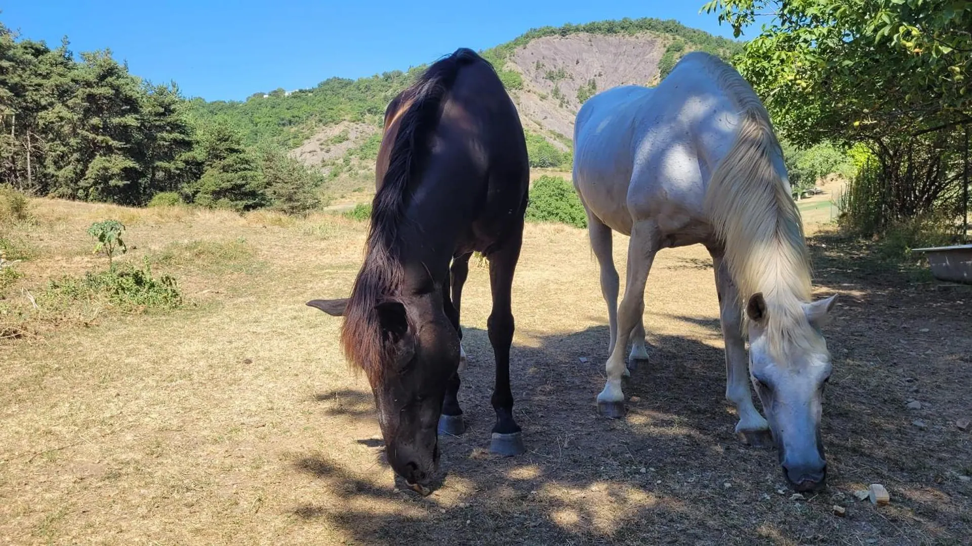 Bed & Breakfast Chambre D'Hotes La Citadelle Lardier-et-Valenca